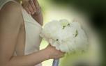 Petal Scatter