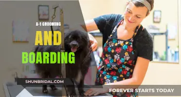 Pamper Your Pet: Premier Grooming and Boarding Services