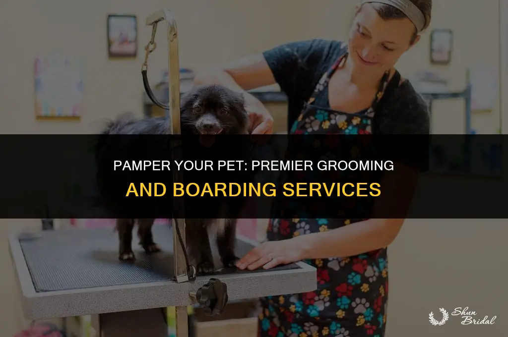 a-1 grooming and boarding