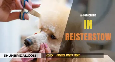 Unveiling the Secrets of A-1 Grooming in Reisterstown: A Comprehensive Guide