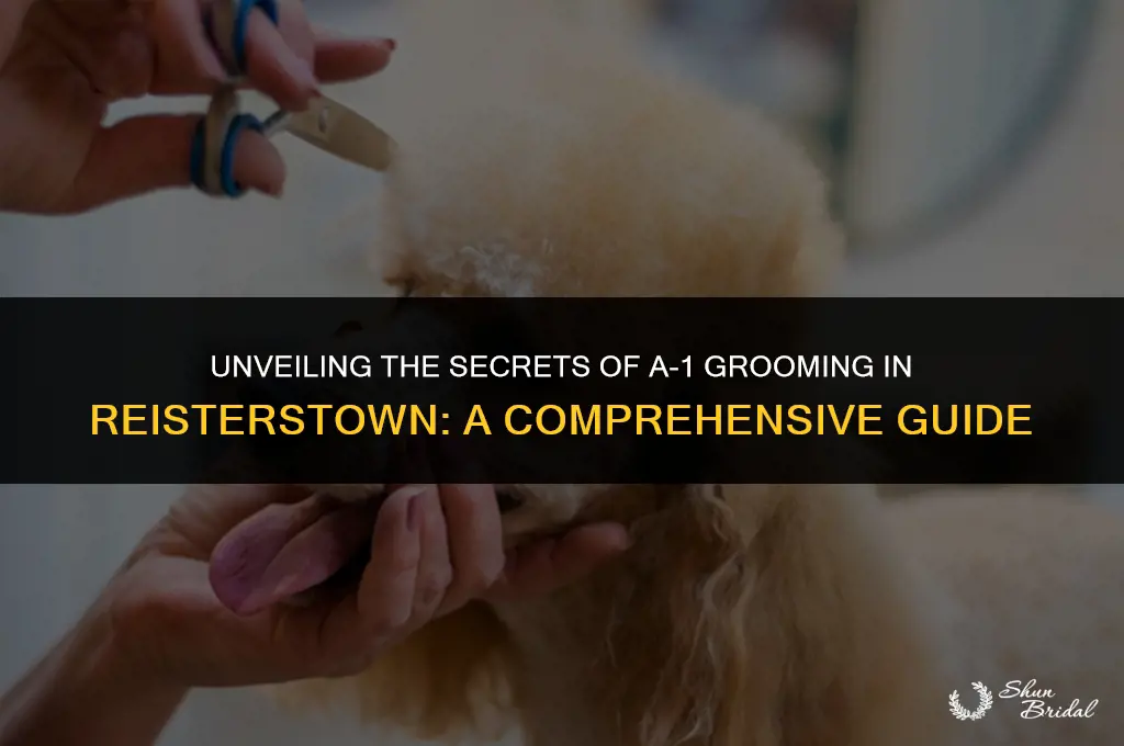 a-1 grooming in reisterstown