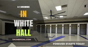 Unveiling the Secrets of A-1 Grooming in White Hall