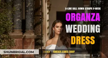 Dreamy Organza Wedding Gowns for Your Big Day