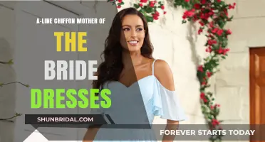 Elegant A-Line Chiffon Mother of the Bride Dresses: A Comprehensive Guide