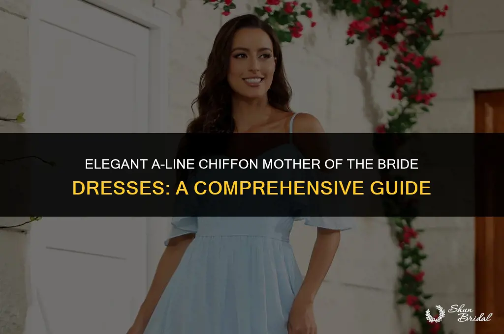 a-line chiffon mother of the bride dresses
