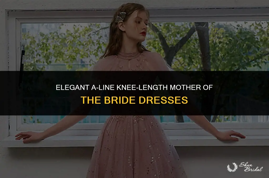 a-line knee length mother of the bride dresses