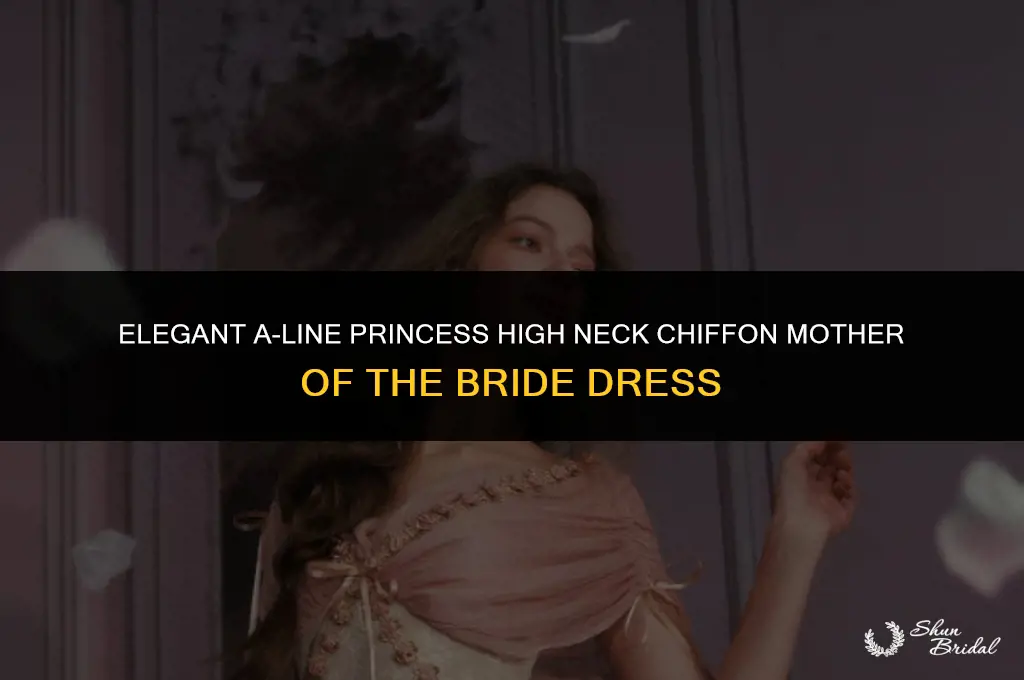 a-line princess high neck chiffon mother of the bride dress