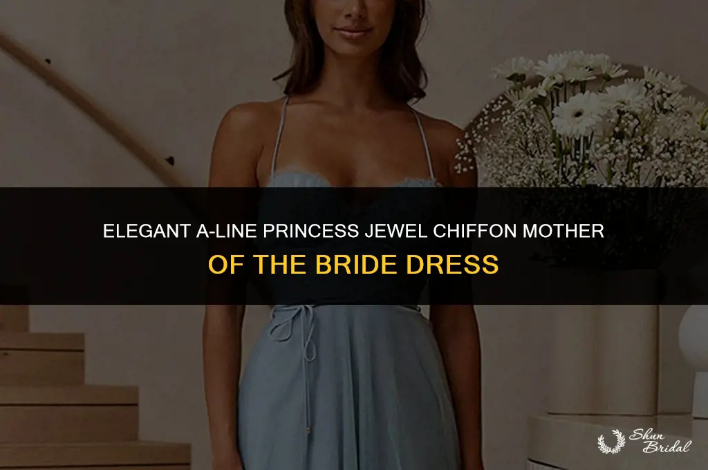 a-line princess jewel floor-length chiffon mother of the bride dress