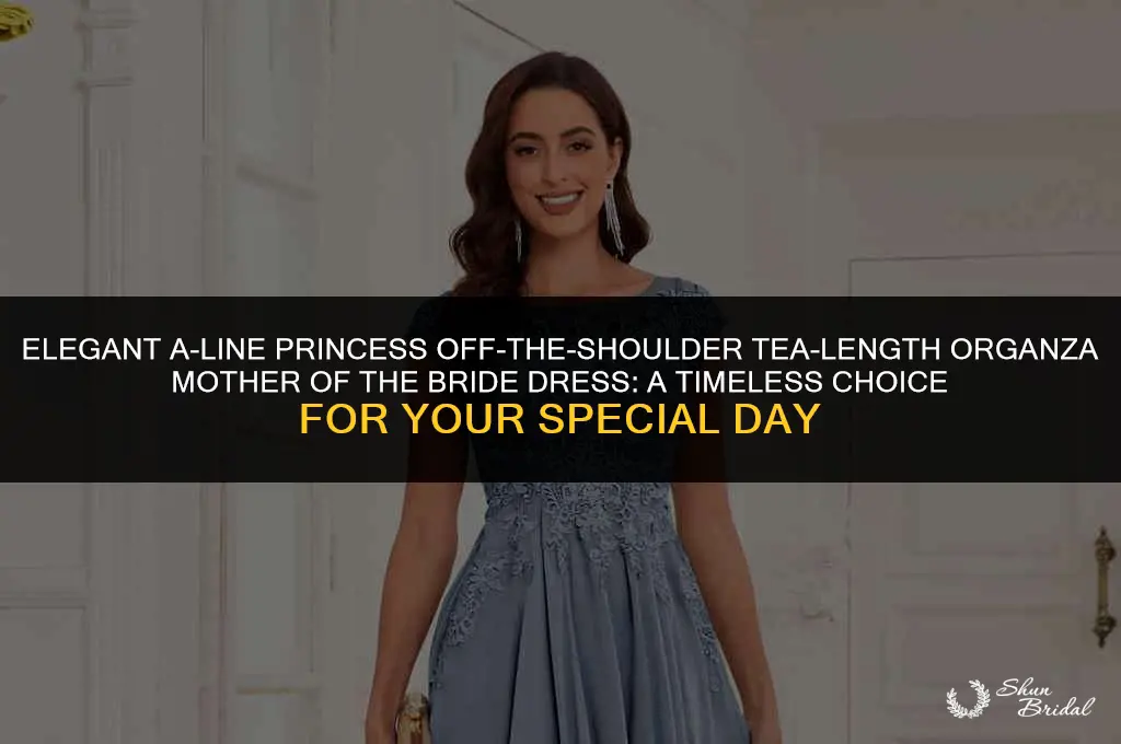 a-line princess off-the-shoulder tea-length organza mother of the bride dress