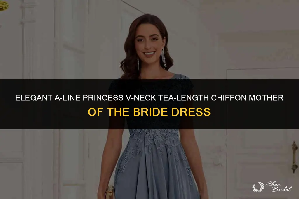 a-line princess v-neck tea-length chiffon mother of the bride dress