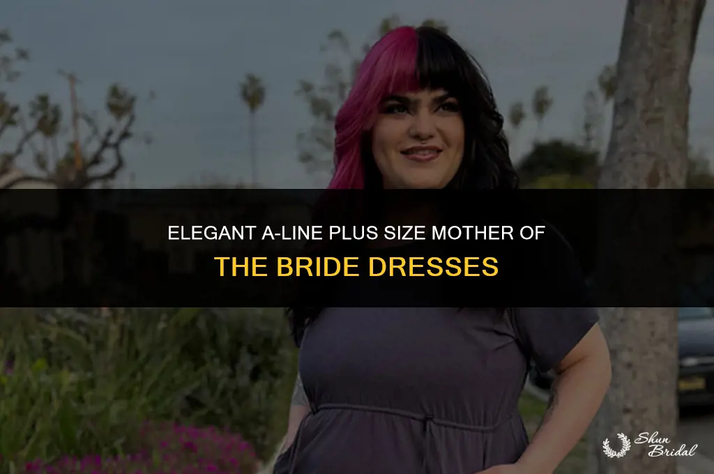a-line slimming plus size mother of the bride dresses