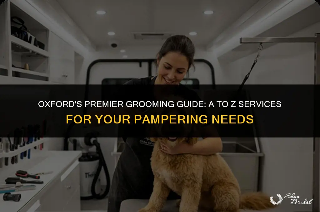 a-z groomer oxford