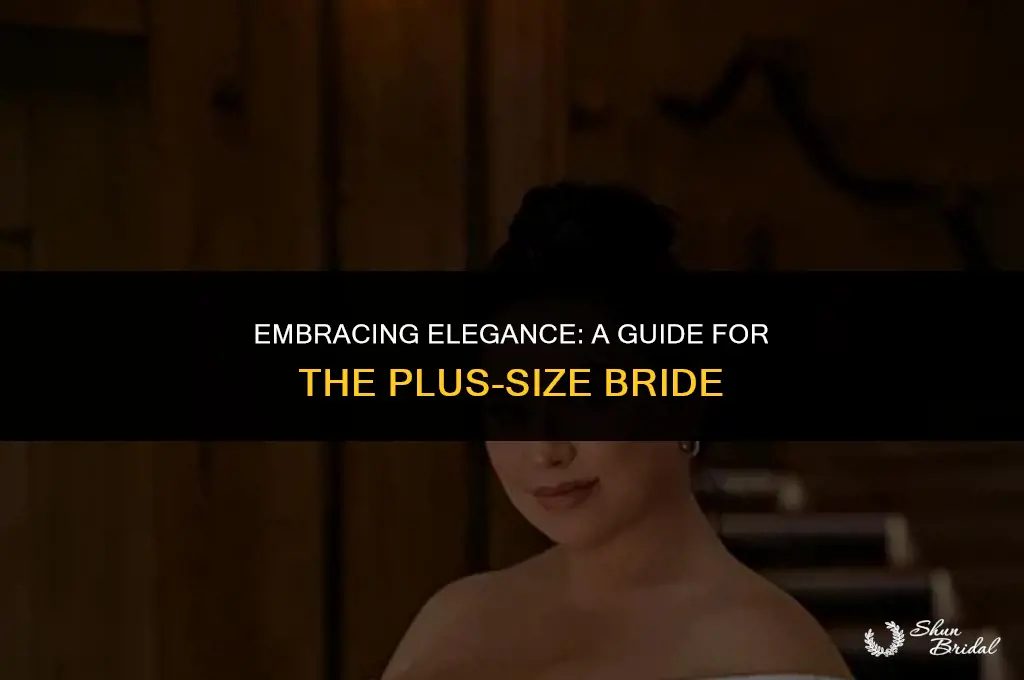 am i a plus size bride