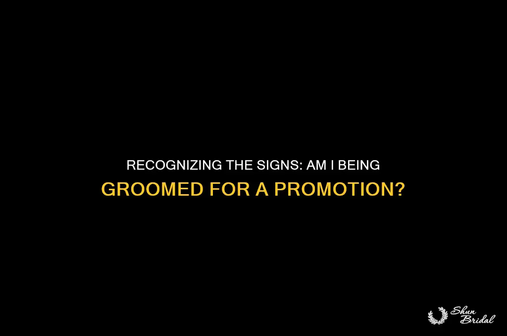 am i being groomed for promotion