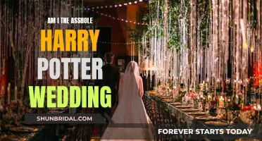 Harry Potter-Themed Wedding: Who's the Asshole?