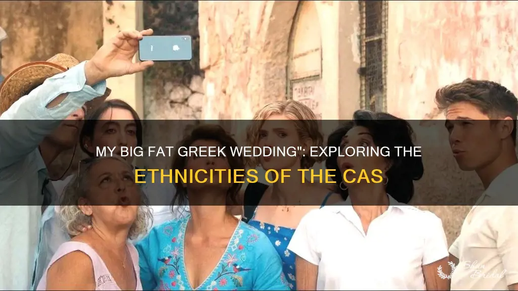 are all actors in my big fat greek wedding greek