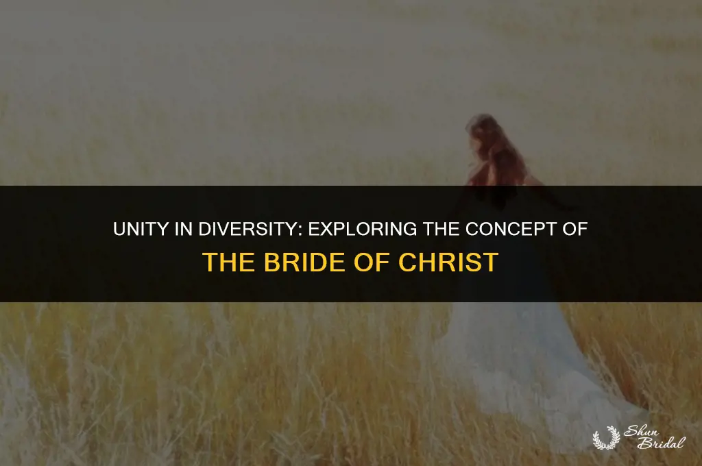 are all believers part of the bride of christ