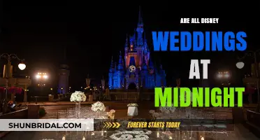 Disney Weddings: Midnight Magic or Daytime Dreams?