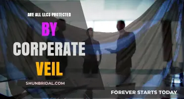 Are All LLCs Shielded by the Corporate Veil? Key Insights