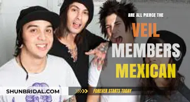 Are All Pierce the Veil Members Mexican? Unveiling the Truth