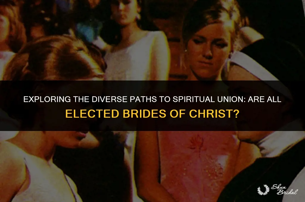 are all the elect the brides of christ