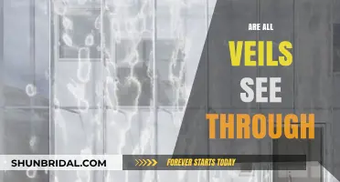Are All Veils See-Through? Unveiling the Truth Behind Transparency