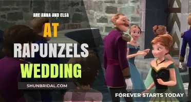 Elsa and Anna: Guests at Rapunzel's Wedding