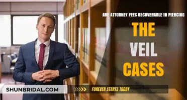 Can Attorney Fees Be Recovered in Piercing the Corporate Veil Cases?