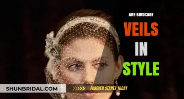Birdcage Veils: Timeless Elegance or Outdated Trend?