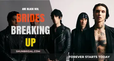 Are Black Veil Brides Breaking Up? Unraveling the Rumors and Truth