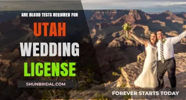 Blood Tests for Utah Wedding Licenses: What You Need to Know