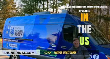 Exploring Blue Wheeler Grooming Franchises in the US Market