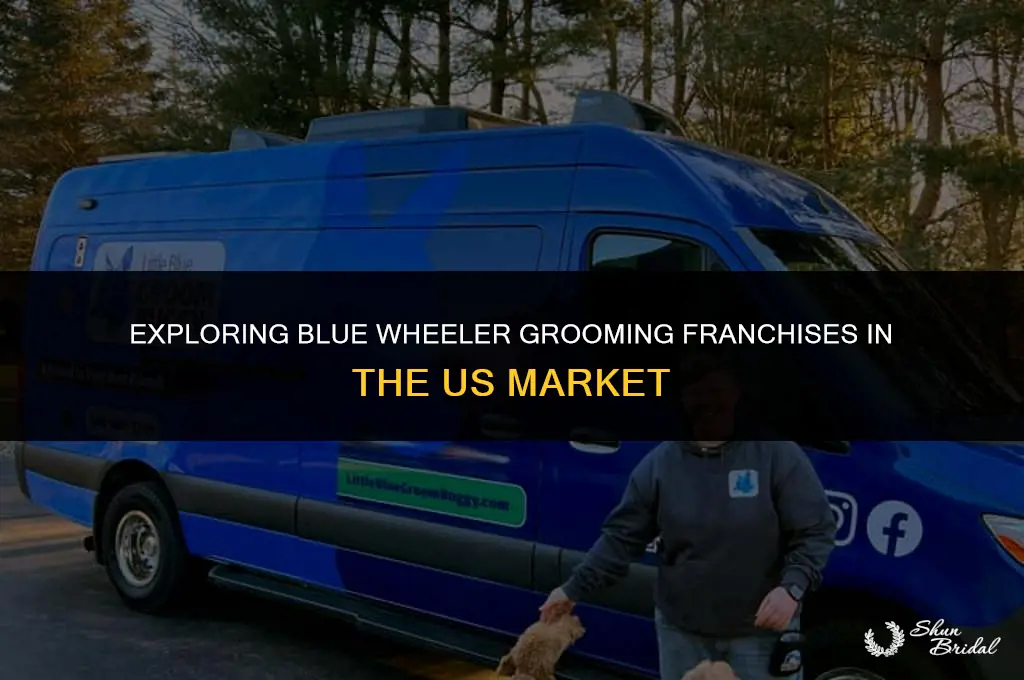 are blue wheeler grooming franchises available in the us
