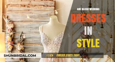 Blush Wedding Dresses: A Timeless Style Choice?