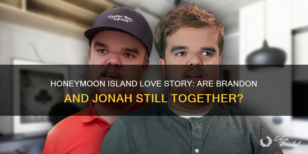 are brandon and jonah still together from honeymoon island