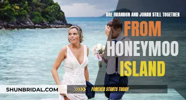 Honeymoon Island: Are Brandon and Jonah Still an Item?
