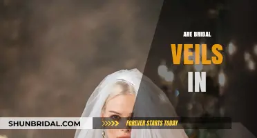 Bridal Veils: Timeless Trend or Passing Fad in Modern Weddings?