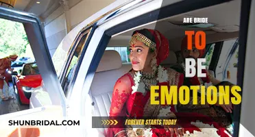 Navigating the Emotional Rollercoaster: A Bride-to-Be's Journey