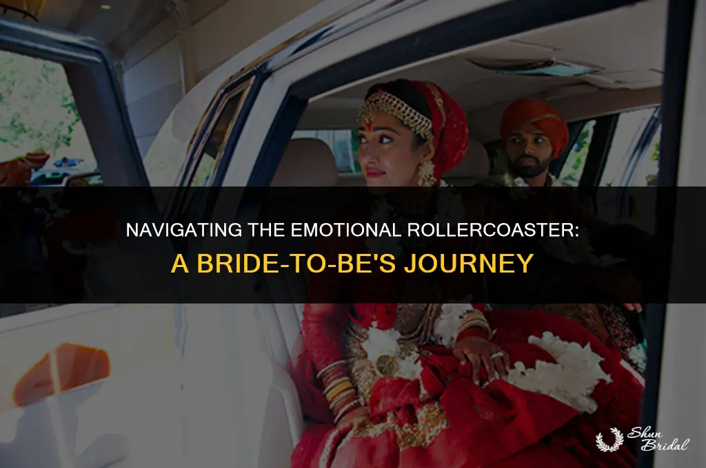 are bride to be emotions