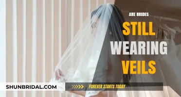 Are Veils Still in Vogue? Modern Brides Redefine Tradition