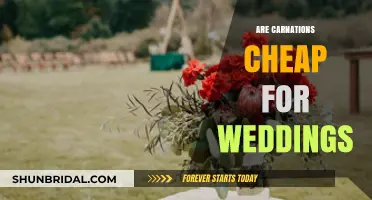 Carnations: An Affordable Wedding Flower Option