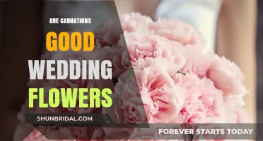 Carnations: A Good Choice for Your Wedding Flowers?