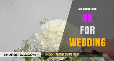 Carnations: A Budget-Friendly Wedding Flower Option