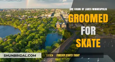 Exploring the Grooming of Minneapolis' Chain of Lakes for Skating