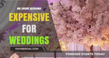 Cherry Blossom Weddings: How Much Do They Cost?