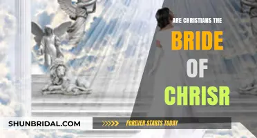 Unveiling the Sacred Union: Christians as the Bride of Christ