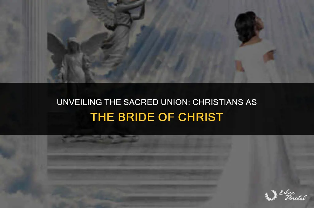are christians the bride of chrisr