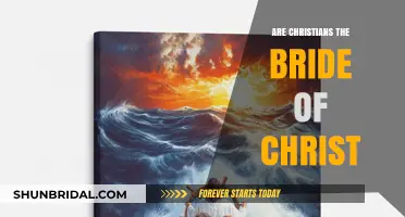 Unveiling the Sacred Union: Christians as the Bride of Christ