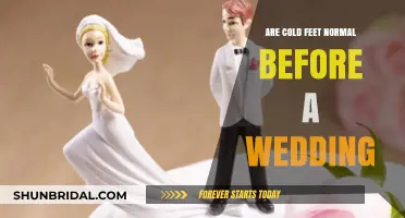 Cold Feet Before Wedding: Normal or Red Flag?