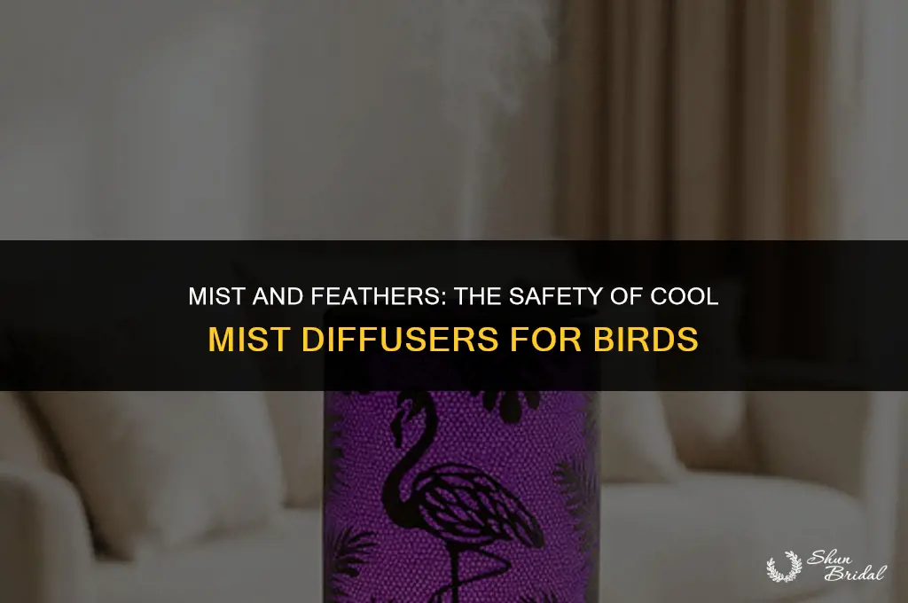 are cool mist diffusers ok for brids
